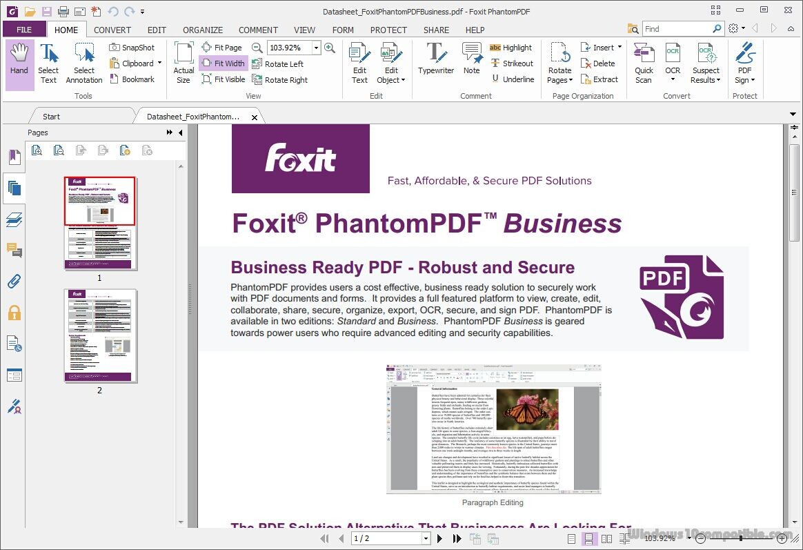 foxit phantompdf business